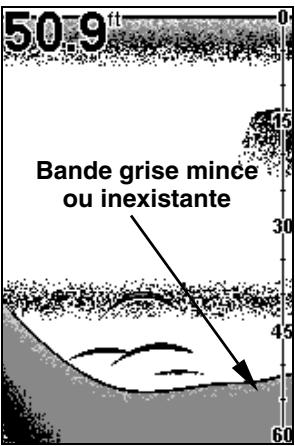 EAGLE SEAFINDER 240DF - BANDE GRISE - GRAYLINE - 2