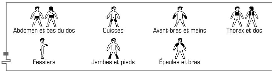 COMPEX BODY - Personalisation d'un programme - 3