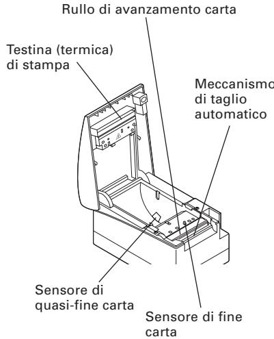 CITIZEN CT-S2000DC - Interno del coperchio della stampante - 1
