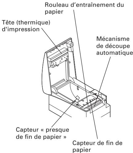 CITIZEN CT-S2000DCL - Intérieur du capot de l'imprimante - 1
