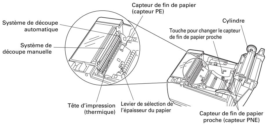 CITIZEN CT-S601 - À l'intérieur du capot papier - 1