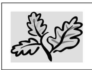 INFOCUS TD32 - COLOR - 1