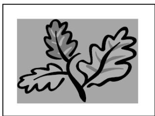 INFOCUS TD32 - COLOR - 2