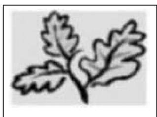 INFOCUS TD32 - SHARPNESS - 1