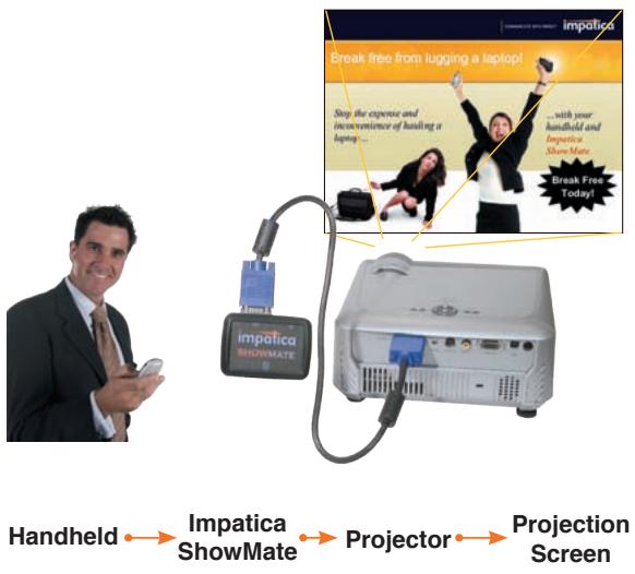 INFOCUS IMPATICA SHOWMATE - free - 4