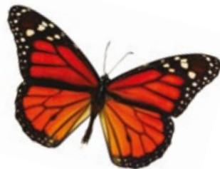 INFOCUS IN2114 - LiteShow II™ - 4