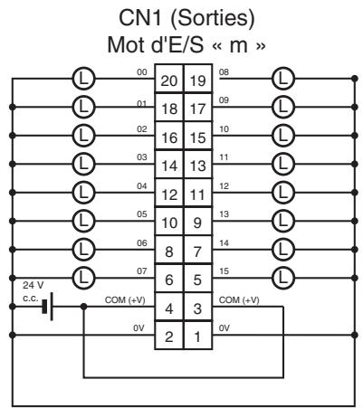 OMRON CJ - Connexions des borniers - 1