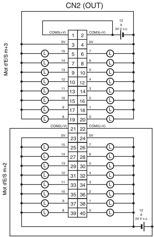OMRON CJ - Connexions des borniers - 2