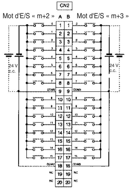OMRON CJ - Connexions des borniers - 2