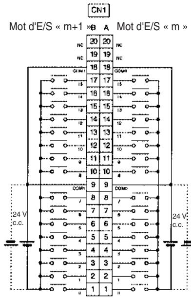 OMRON CJ - Connexions des borniers - 1