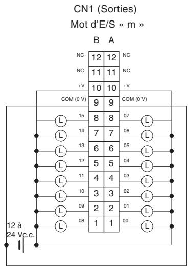 OMRON CJ - Connexions des borniers - 1