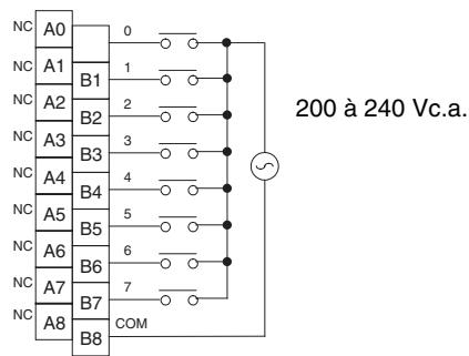 OMRON CJ - Connexions des borniers - 1