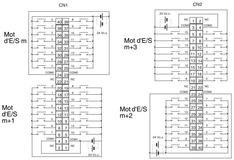 OMRON CJ - Connexions des borniers - 1