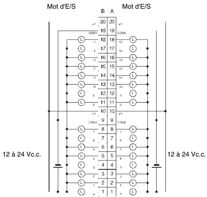 OMRON CJ - Connexions des borniers - 1