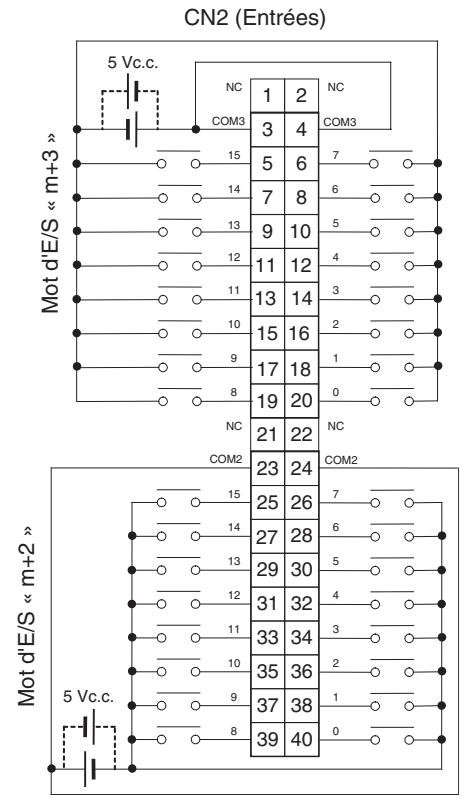 OMRON CJ - Connexions des borniers - 2