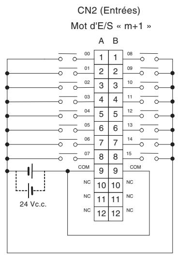 OMRON CJ - Connexions des borniers - 2