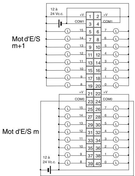 OMRON CJ - Connexions des borniers - 1