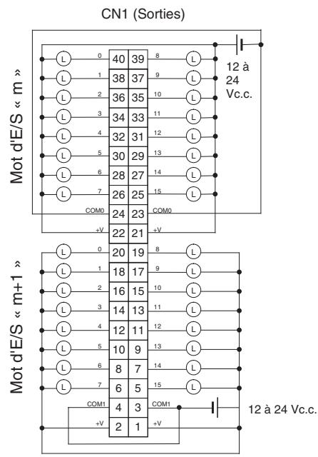 OMRON CJ - Connexions des borniers - 1