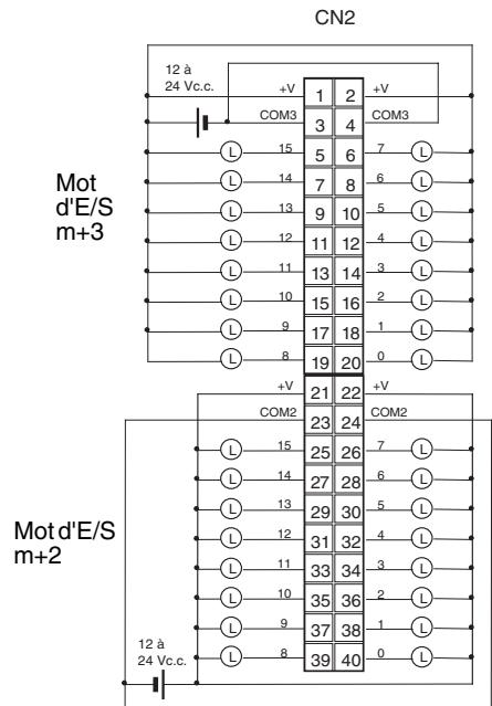 OMRON CJ - Connexions des borniers - 2