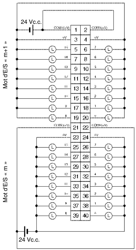 OMRON CJ - Connexions des borniers - 1
