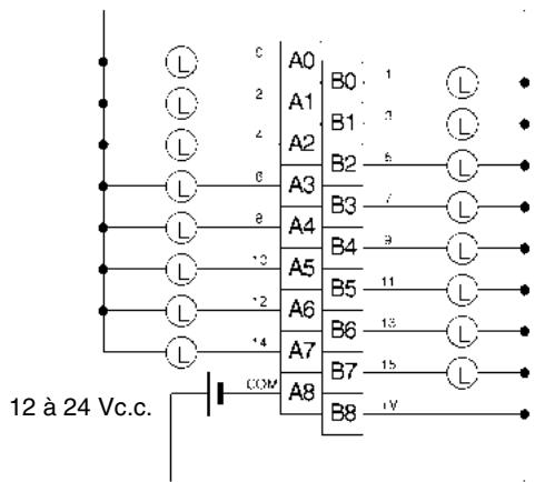OMRON CJ - Connexions des borniers - 1