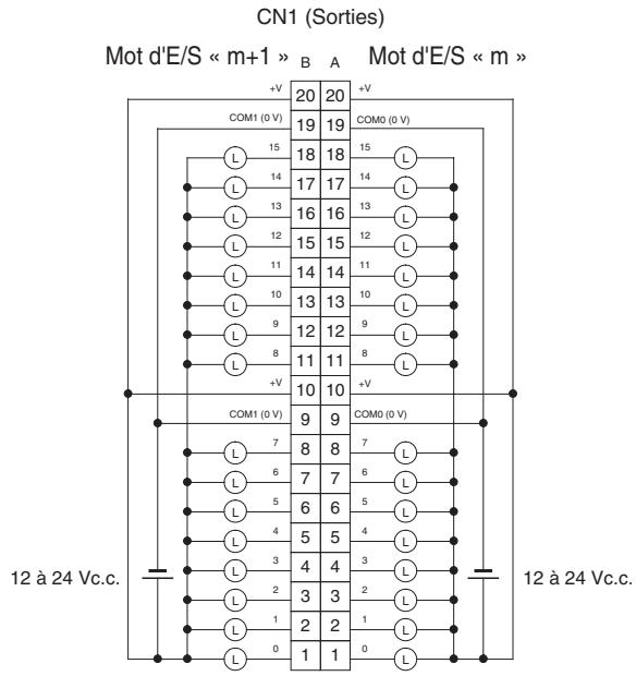 OMRON CJ - Connexions des borniers - 1