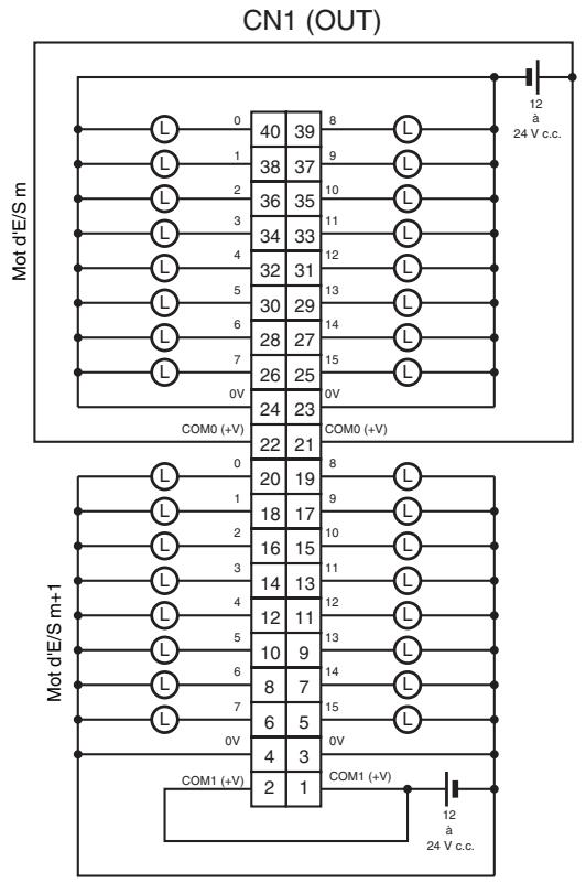 OMRON CJ - Connexions des borniers - 1