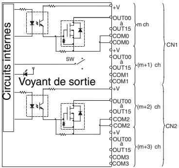 OMRON CJ - Carte de sorties à transistor cj1w-od263 (connecteurs MIL, 64 points, NPN) - 1
