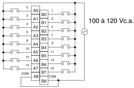 OMRON CJ - Carte d'entrée 100 vc. a. CJ1W-IA111 (16 points) - 2