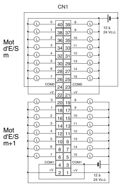 OMRON CJ - Connexions des borniers - 1
