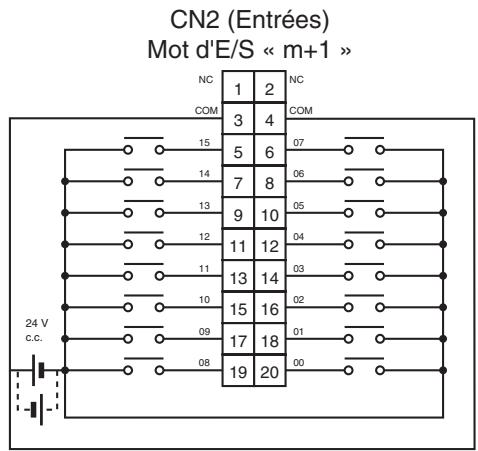OMRON CJ - Connexions des borniers - 2
