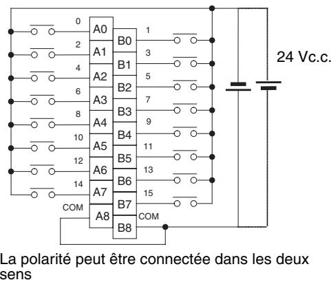 OMRON CJ - Connexions des borniers - 1