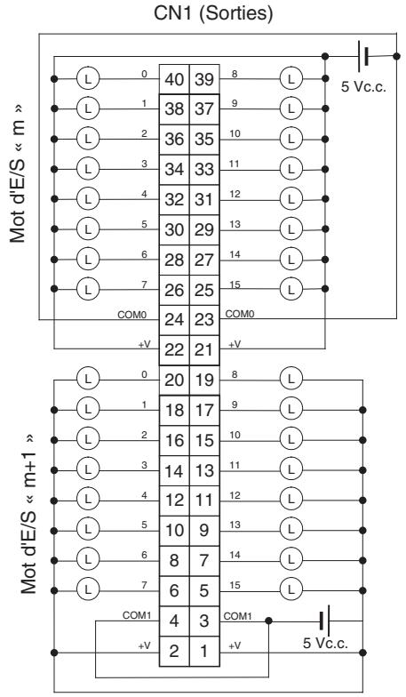 OMRON CJ - Connexions des borniers - 1