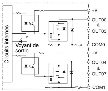 OMRON CJ - Connexions des borniers - 2