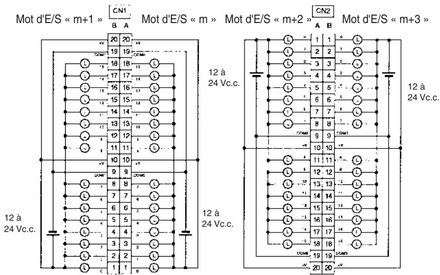 OMRON CJ - Connexions des borniers - 1