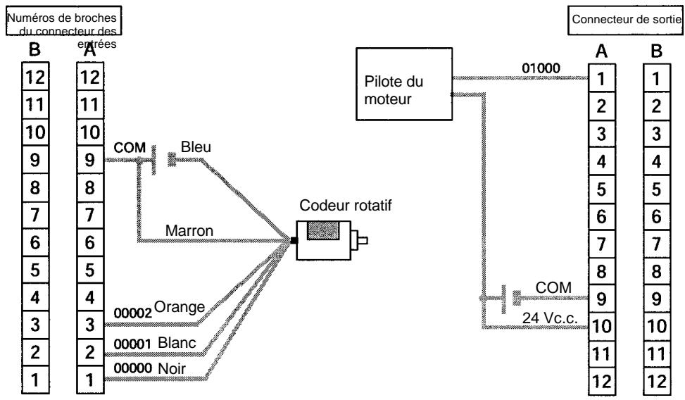 OMRON CPM2C - Câblage - 3