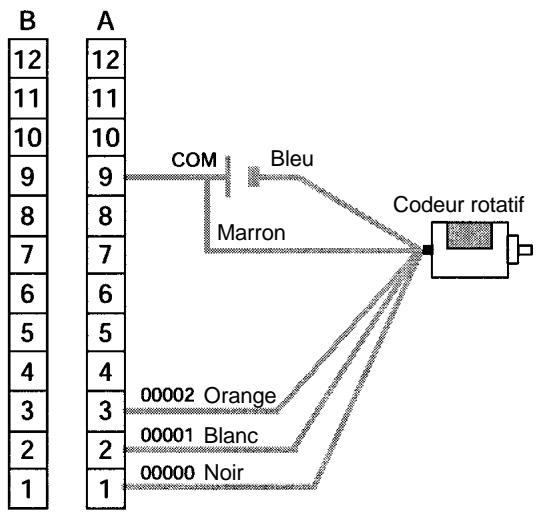 OMRON CPM2C - Câblage (CPM2A) - 5