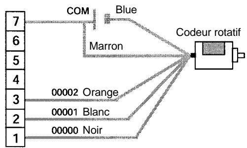 OMRON CPM2C - Câblage (CPM2A) - 3