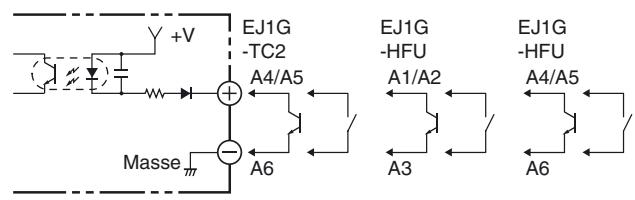 OMRON EJ1G - Câblage interne - 2