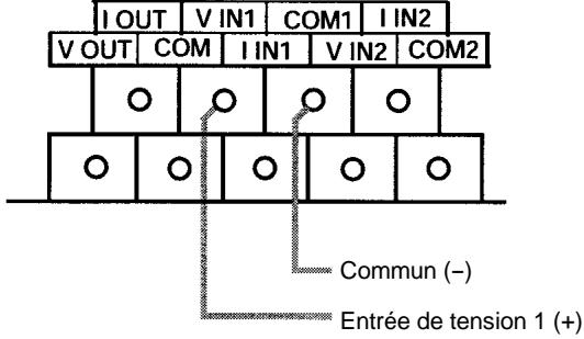 OMRON SRM1 - Câblage des E/S analogiques - 1