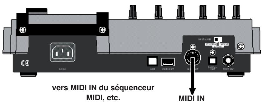 FOSTEX MR-8 HD CD - Connection - 1