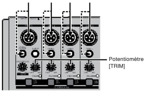 FOSTEX MR-8 HD CD - Branchement des sources sonores aux entrées A à DINPUT D - 1