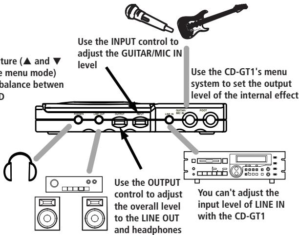 TASCAM CD-GT1 - Inputs - 1