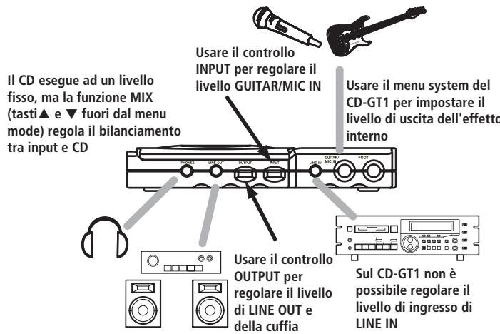 TASCAM CD-GT1 - Ingressi - 1