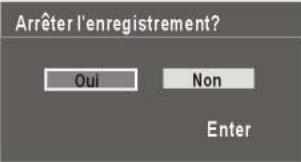 NESX NE-1917 - FONCTION ENREGISTREURS VIDEO PVR "En mode TNT uniquement" - 3