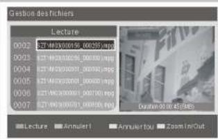 NESX NE-1917 - Sous menu gestion de disque. - 1