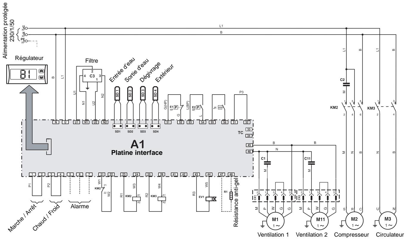 TECHNIBEL PHR 8 - SCHEMA ÉLECTRIQUE - PHR 6 / 8 - 230/1/50 - 3
