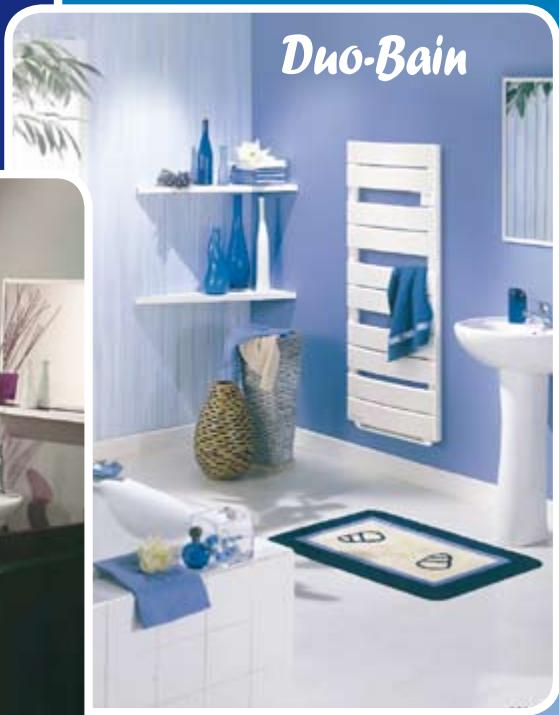 NOIROT MONO-BAIN - 2