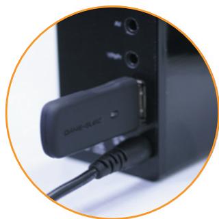 DANE-ELEC SO SPEAKY BLACK DIAMOND - Mise à jour du firmware - 2