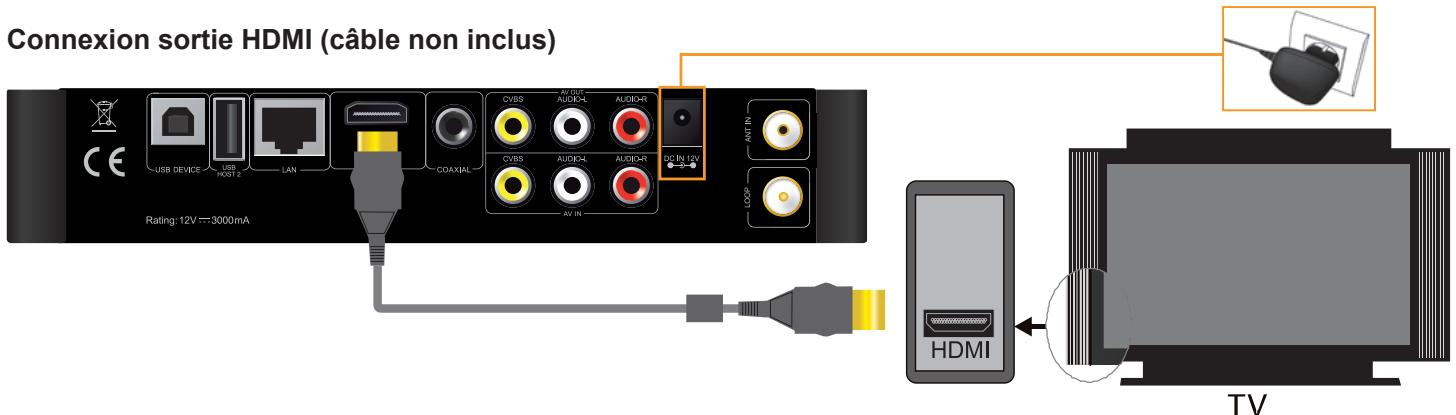 DANE-ELEC SO WORLD TV - Connexion des sorties TV audio et vidéo - 2